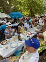 2022 07 03 ARLES  UNE JOURNEE AVEC L'ARAPA (21).jpg